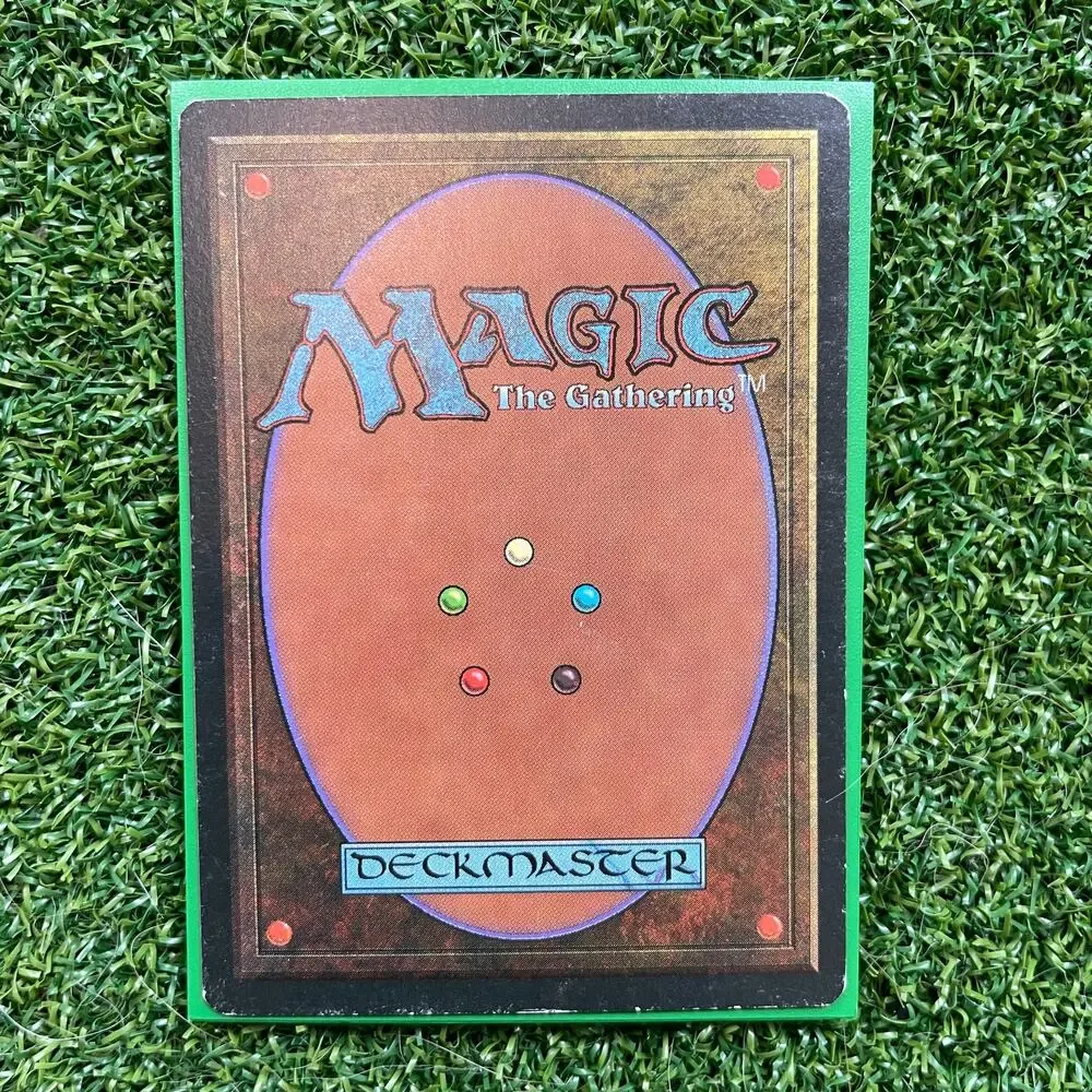 MTG Forest Vintage Basic Land Christopher Rush Art Magic Card LP